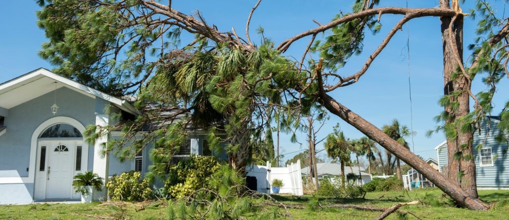 Storm Damage Cleanup