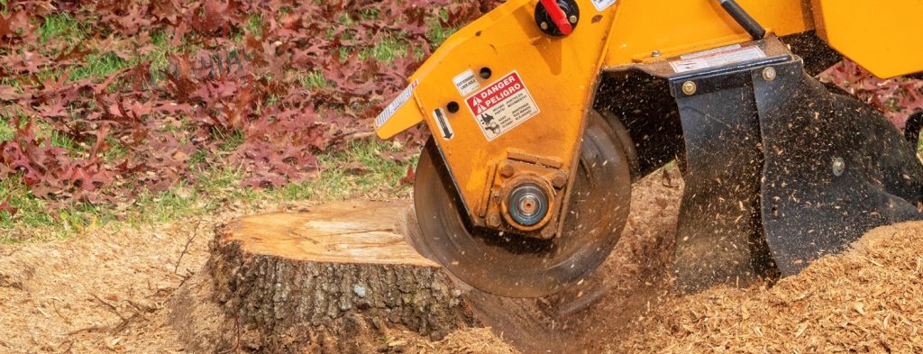 Stump Removal in Shreveport, Louisiana