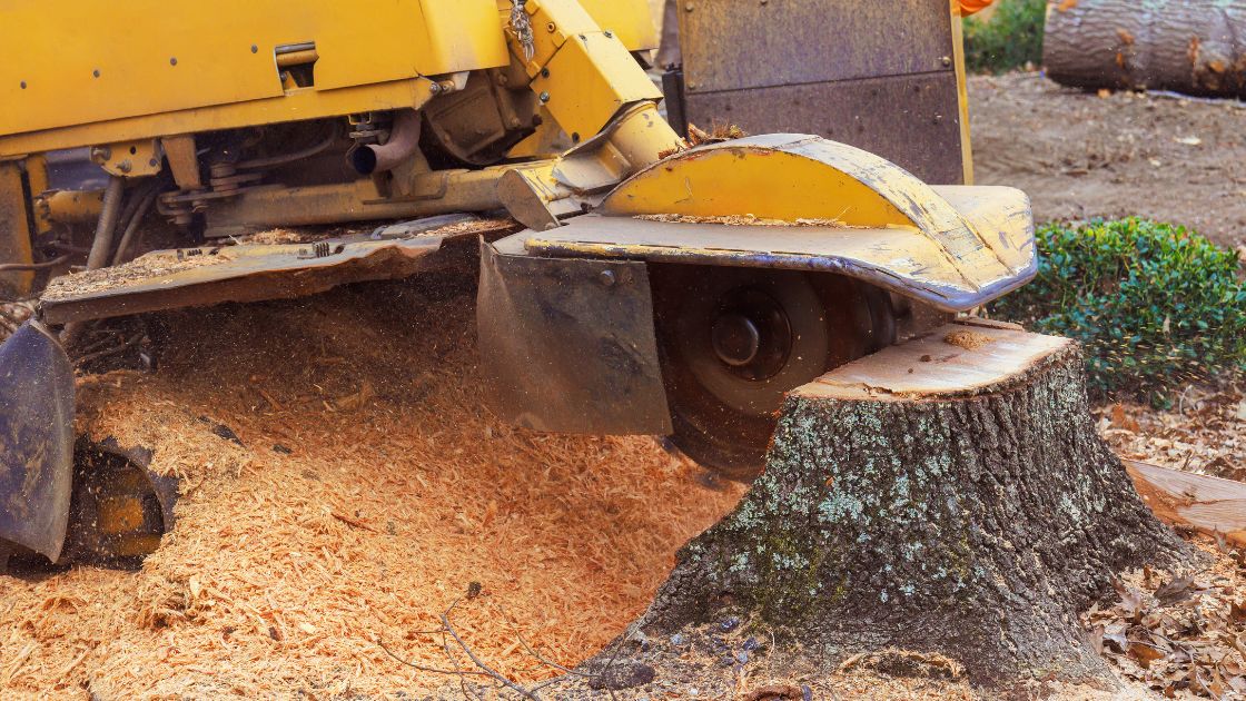 stump grinding service shreveport