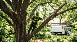 Professional photograph of a certified arborist in a green hard hat and safety gear pruning a large oak tree in a residential backyard with a pole saw, with sunlight filtering through the canopy and a white service truck in the background.